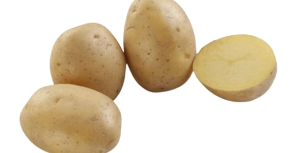 SK Agri Exports, Colomba potato variety