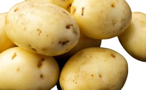 SK Agri Exports FC5 SK Agri Exports FC5