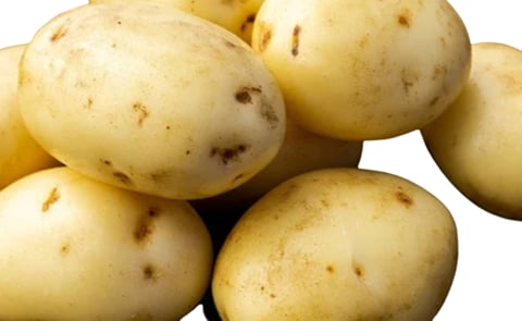 SK Agri Exports FC5 SK Agri Exports FC5
