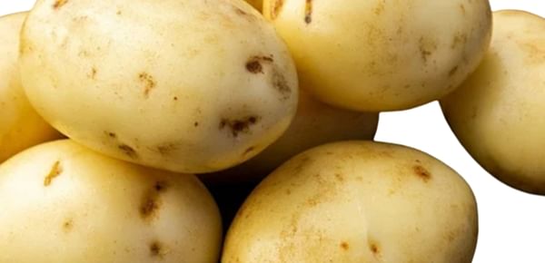 SK Agri Exports, FC5 potato variety