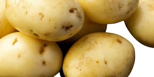SK Agri Exports, FC5 potato variety