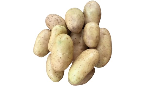 SK Agri Exports, Frysona potato variety