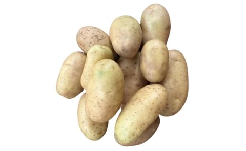 SK Agri Exports Frysona SK Agri Exports Frysona