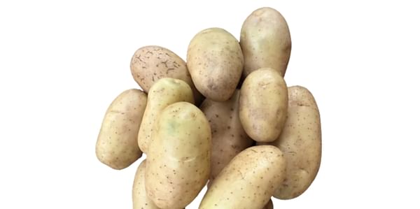 SK Agri Exports, Frysona potato variety