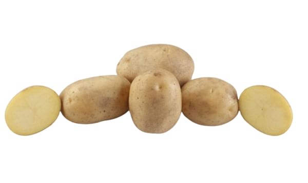 SK Agri Exports, Hermes potato variety