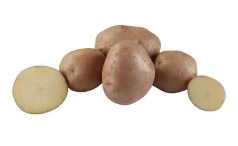 SK Agri Exports Lady Rosetta SK Agri Exports Lady Rosetta