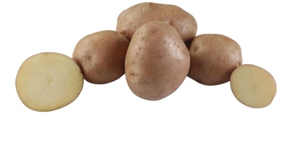 SK Agri Exports, Lady Rosetta potato variety