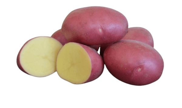 SK Agri Exports, Memphis potato variety