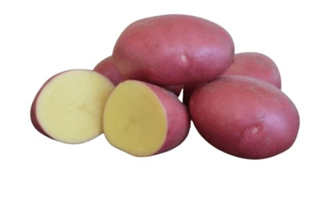 SK Agri Exports Memphis SK Agri Exports Memphis