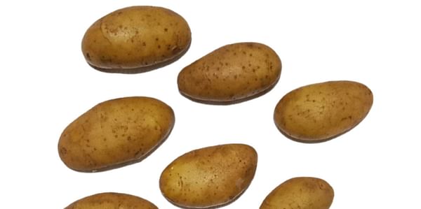 SK Agri Exports, Santana potato variety