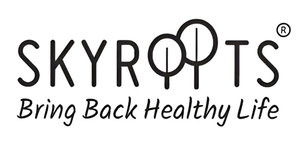 Skyroots Ventures LLP