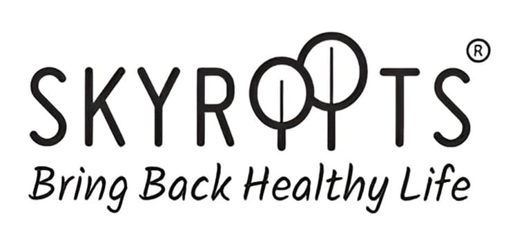 Skyroots Ventures LLP