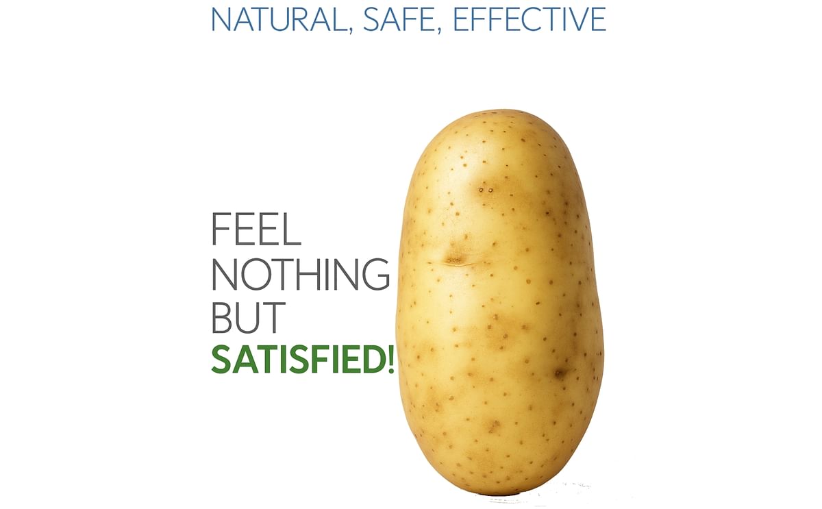 Slendesta potato protein Slendesta potato protein