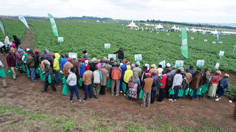 Farmers from multiple counties gather at FreshCrop’s demonstration plots for training on mechanization, input use, and potato varieties.
Farmers from multiple counties gather at FreshCrop’s demonstration plots for training on mechanization, input use, and potato varieties.