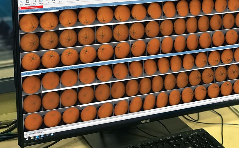SmartGrade allows multiple inspection passes of each image of the fruit, with individual defects assigned to each pass and the settings optimized based on that specific defect. SmartGrade allows multiple inspection passes of each image of the fruit, with individual defects assigned to each pass and the settings optimized based on that specific defect.