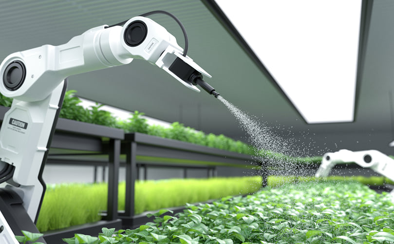 From Manual Labor to Autonomous Precision in Potato Farming From Manual Labor to Autonomous Precision in Potato Farming