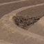 Soil Cultivation
