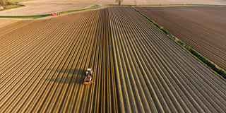 Soil Preparation Soil Preparation