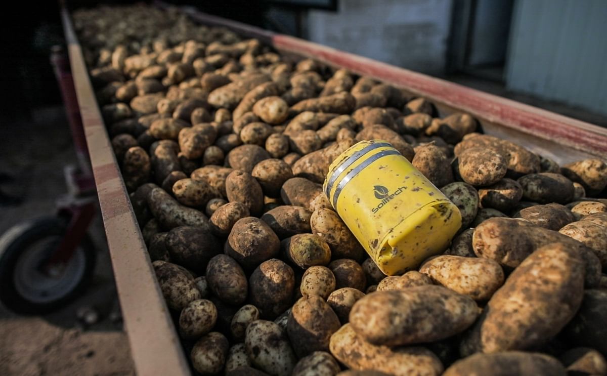 Soiltech Beacon with Potatoes on Conveyor