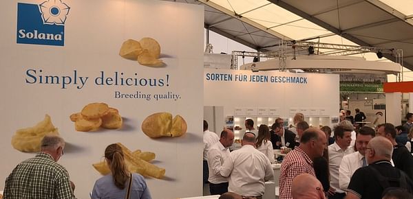 New potato variety Lea is suitable for both conventional and organic farming