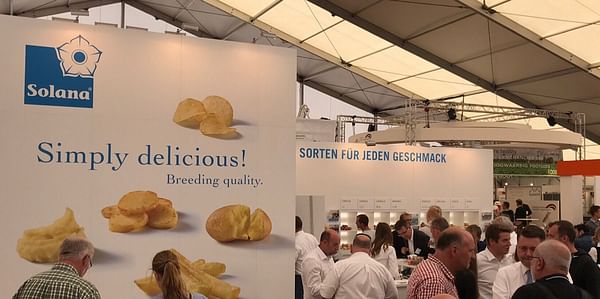 New potato variety Lea is suitable for both conventional and organic farming
