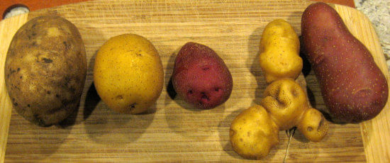 Proyecto para mejorar la capacidad de resistencia de la agricultura al cambio climático con la ayuda de genes silvestres