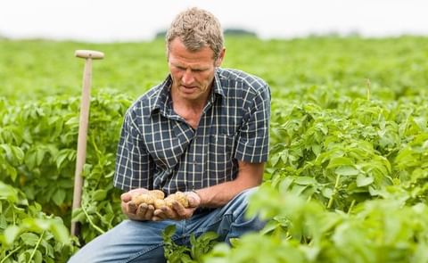 Pessl Instruments GmbH acquires Solentum products Pessl Instruments GmbH acquires Solentum products