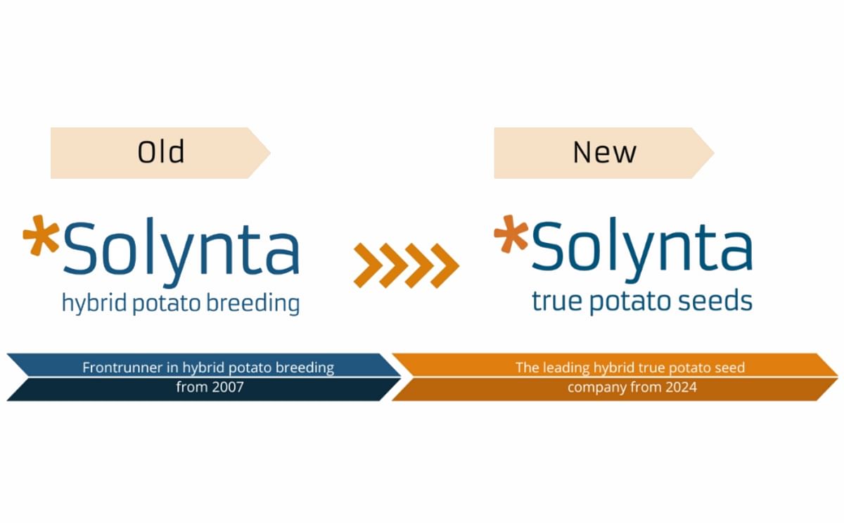 Solynta rebrands to 'true potato seed' company