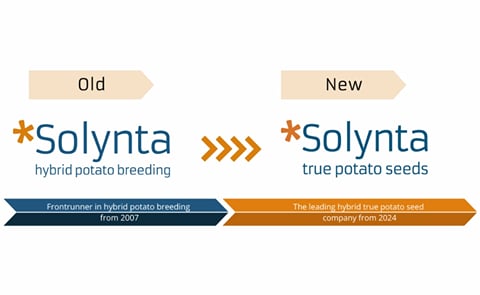 Solynta rebrands to 'true potato seed' company Solynta rebrands to 'true potato seed' company