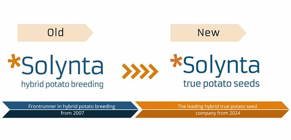Solynta rebrands to 'true potato seed' company