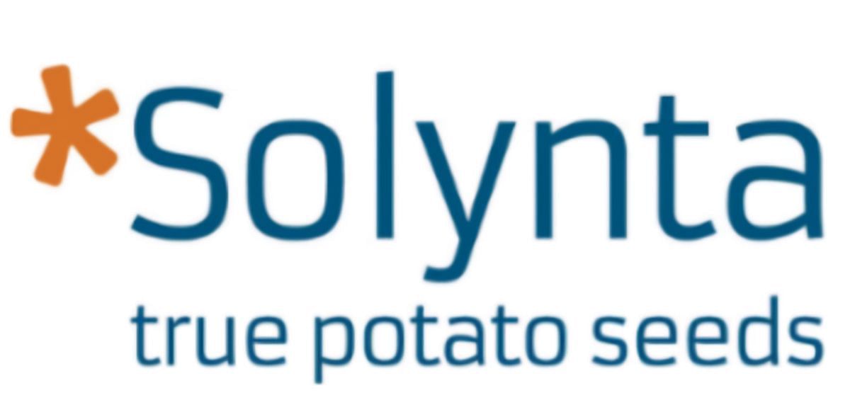 Solynta