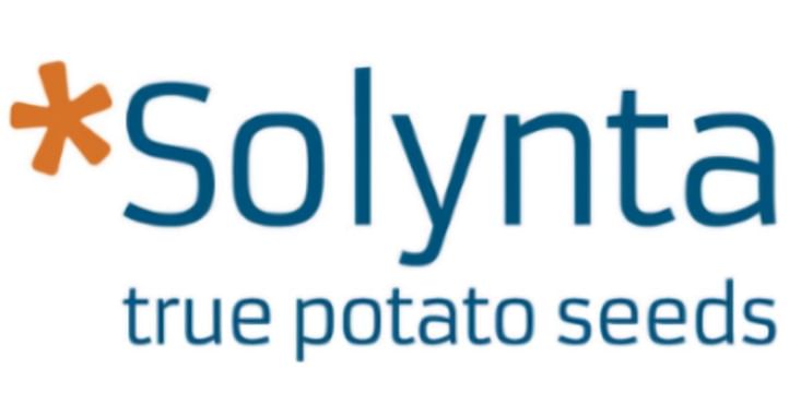 Solynta