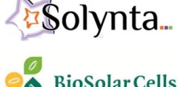 Aardappelveredelaar Solynta treedt toe tot BioSolar onderzoeksconsortium