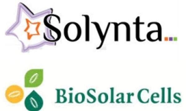 Aardappelveredelaar Solynta treedt toe tot BioSolar onderzoeksconsortium