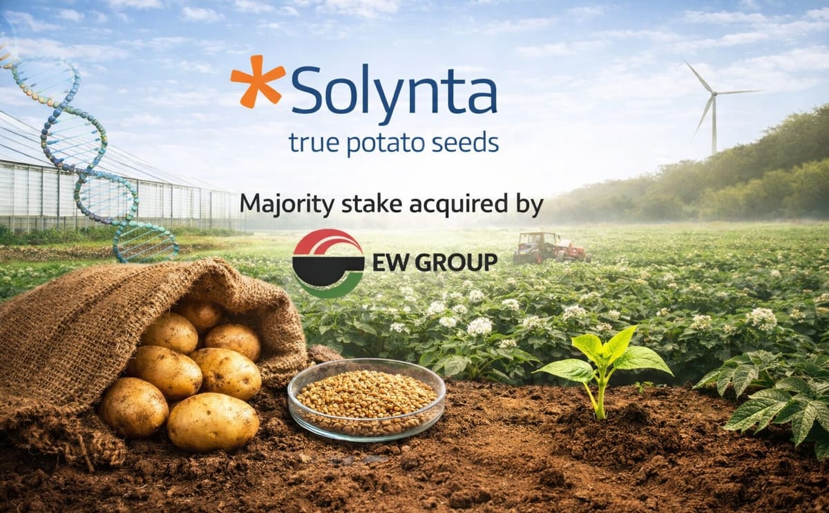 EW Group acquires a majority stake in Solynta, backing the expansion of hybrid true potato seeds worldwide.