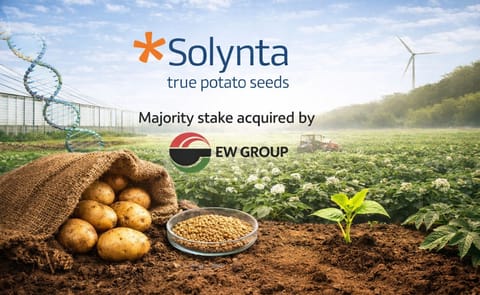 EW Group acquires a majority stake in Solynta, backing the expansion of hybrid true potato seeds worldwide. EW Group acquires a majority stake in Solynta, backing the expansion of hybrid true potato seeds worldwide.