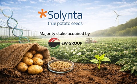 EW Group acquires a majority stake in Solynta, backing the expansion of hybrid true potato seeds worldwide. EW Group acquires a majority stake in Solynta, backing the expansion of hybrid true potato seeds worldwide.