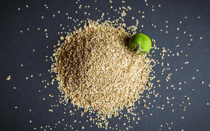 Solynta Potato Seed Solynta Potato Seed