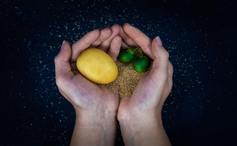Seeds, berries and potato