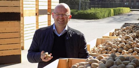 First large-scale Solynta Hybrid seed potato trials highly successful