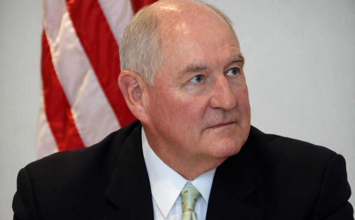 Trump picks ex-Georgia-governor Sonny Perdue as Secretary of Agriculture. Trump picks ex-Georgia-governor Sonny Perdue as Secretary of Agriculture.
