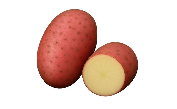 SORKH GUL (LAVKAR) SORKH GUL (LAVKAR)