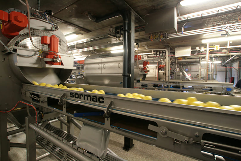 Potato knife peeler type MS-20 - Sormac Potato knife peeler type MS-20 - Sormac