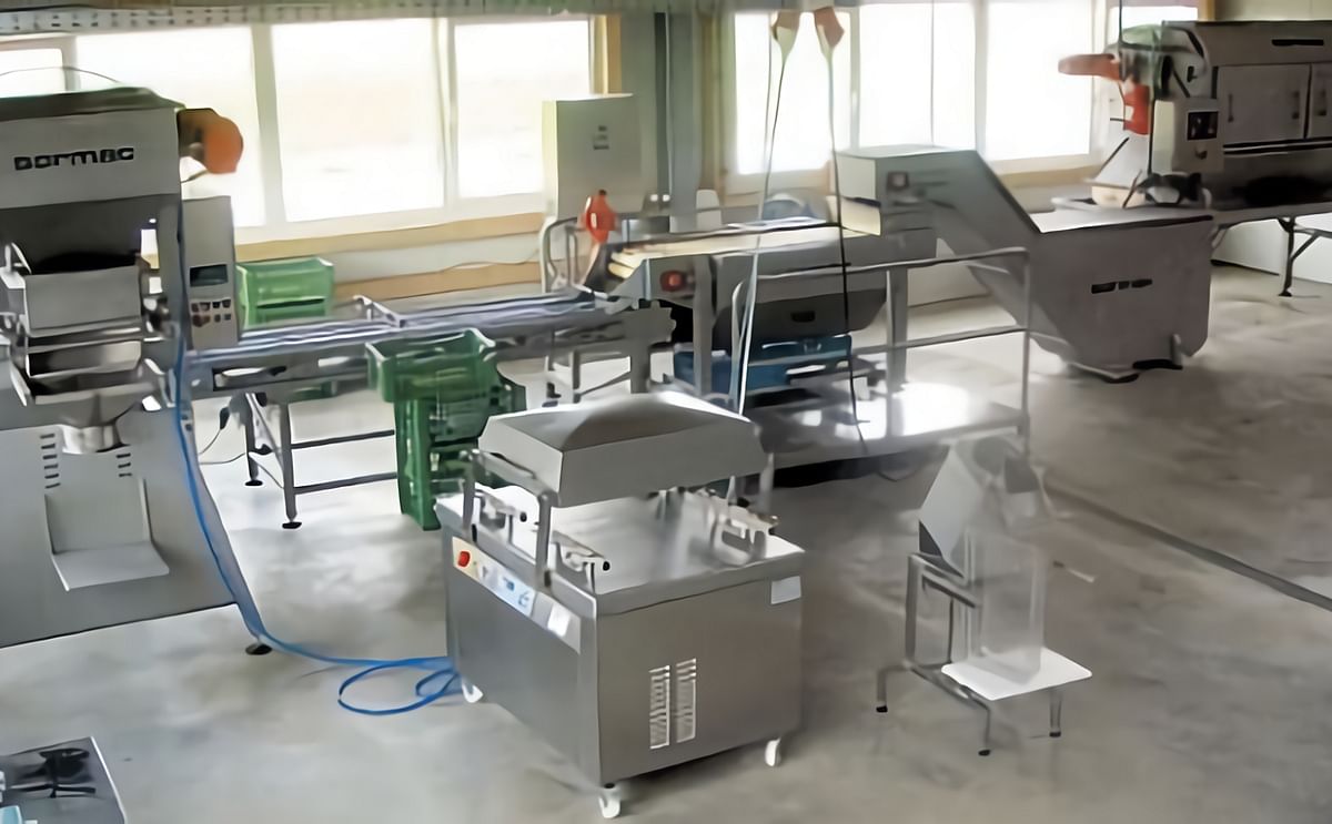 Sormac potato peeling line installed at Niedermayer Sormac potato peeling line installed at Niedermayer