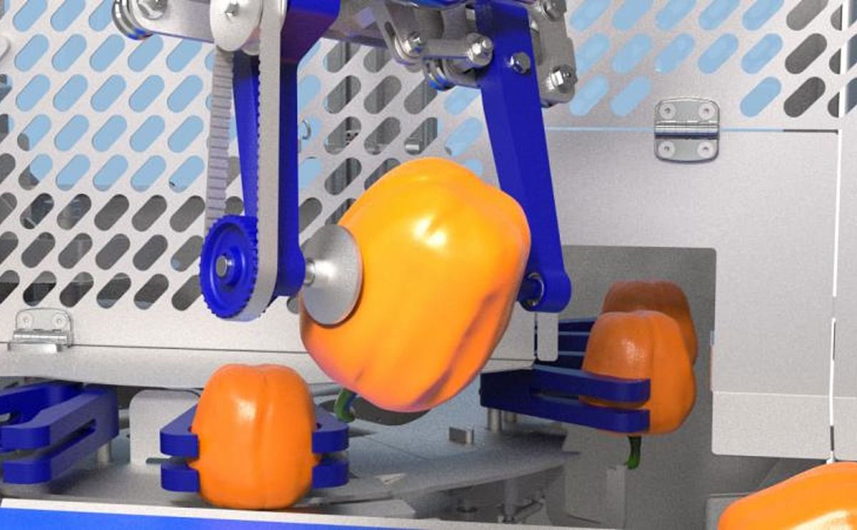 Sormac Unveils Cutting-Edge Innovations at Fruit Logistica 2025 Sormac Unveils Cutting-Edge Innovations at Fruit Logistica 2025