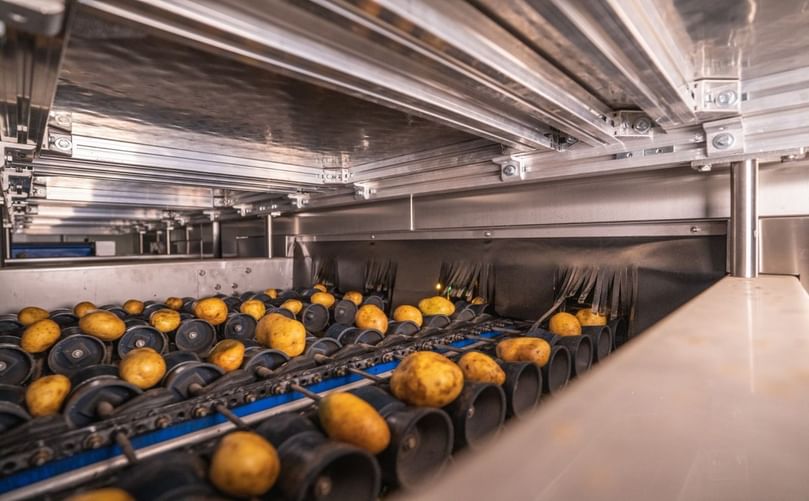  A Deeper Dive into the Evolution of Potato Sorting and Packing Automation
