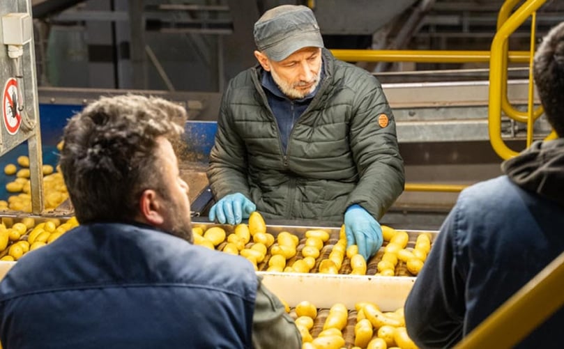 Potato sorting at the Pomuni plant in Ranst, Belgium Potato sorting at the Pomuni plant in Ranst, Belgium