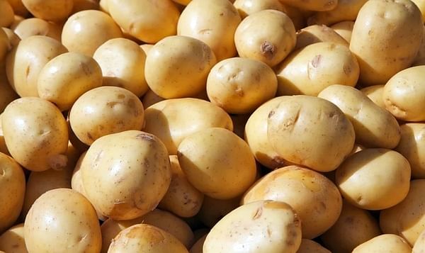South Africa Has Seen a Massive Surge in Potato Prices in Recent Months