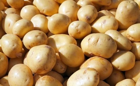 South Africa Has Seen a Massive Surge in Potato Prices in Recent Months South Africa Has Seen a Massive Surge in Potato Prices in Recent Months