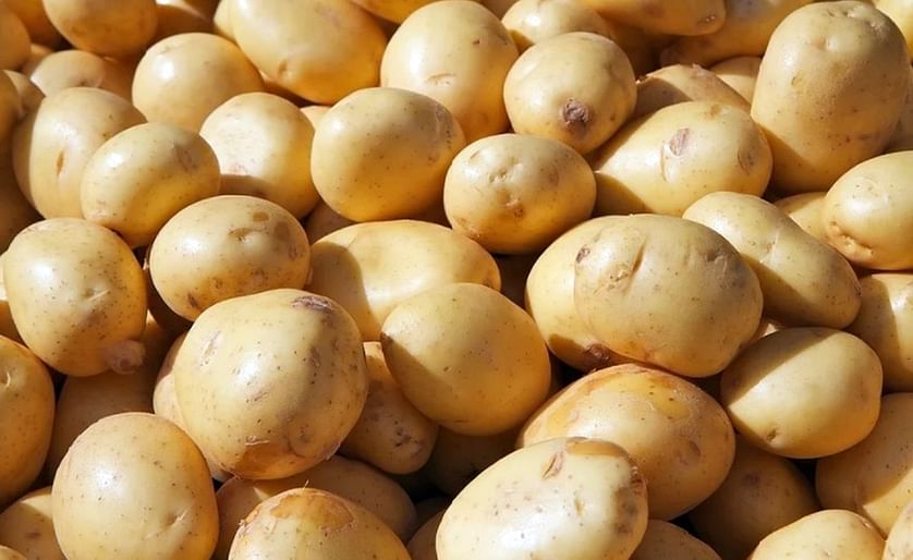 South Africa Has Seen a Massive Surge in Potato Prices in Recent Months